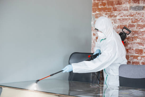 Best Water Damage & Mold Remediation in Browns Point, WA